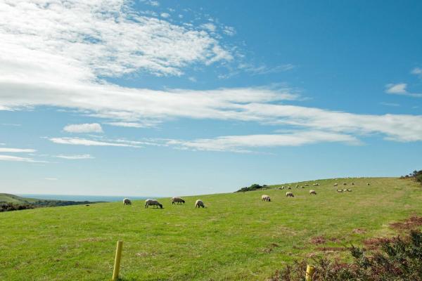 YHA Lands End